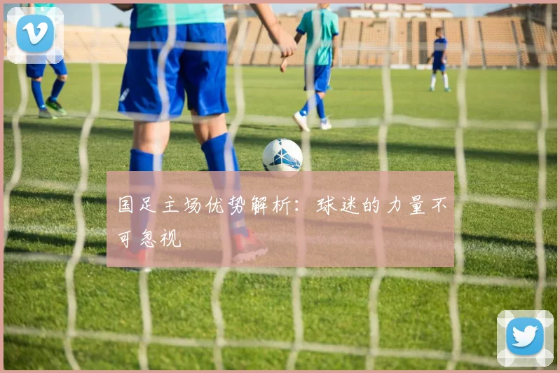国足主场优势解析：球迷的力量不可忽视